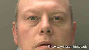 Burglar distracted woman's dog with food as he stole from house