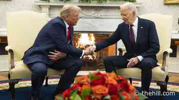 Trump economic approval 3 points lower than Biden's worst marks: Poll