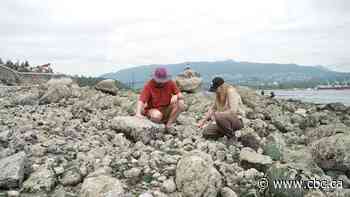 How the deadly 2021 B.C. heat dome permanently changed ecosystems