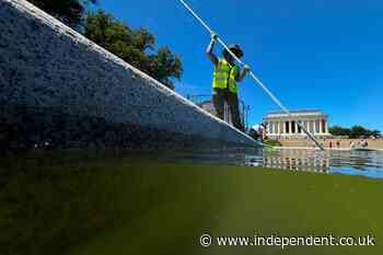 Trump team labels cleaning algae from the Reflecting Pool a ‘regional and national priority’ ahead of July 4