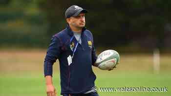 WRU targets university lecturer for key appointment to improve Wales' coaches
