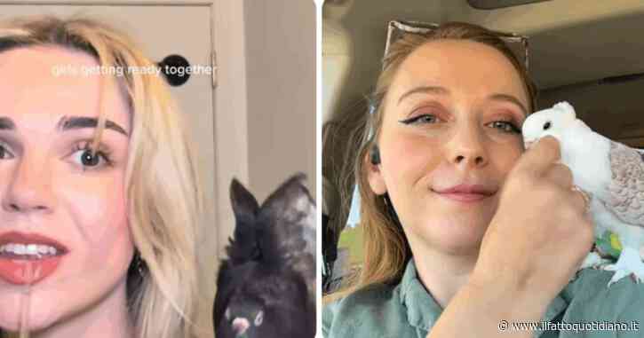 Piccioni che vanno al ristorante, salgono su un Uber e amano farsi bagni caldi? Non è uno scherzo ma una nuova tendenza social: ecco le pigeon girls