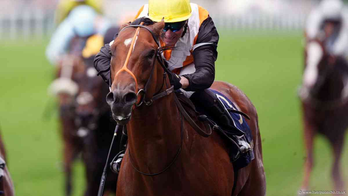 Royal Ascot 2026: Nola Soul provides trainer Fozzy Stack with a first winner at meeting