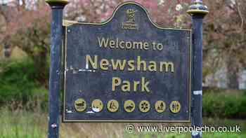 Newsham Park 'mayhem' as boy, 16, 'chased with weapon'