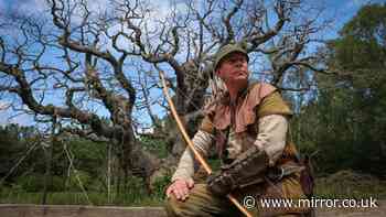 Robin Hood hiding place Major Oak declared dead after hordes of 'loving' visitors smothered tree