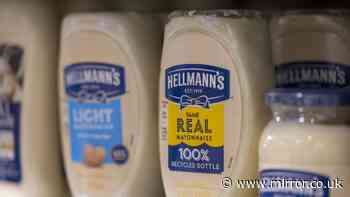Reason mayonnaise and salad cream taste different explained