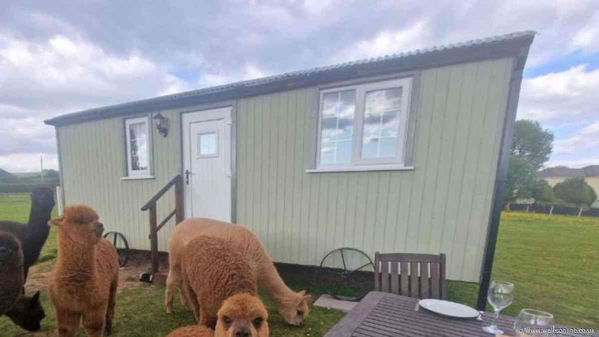Welsh campsite scrapped over noisy 'shenanigans' inside tents disturbing neighbours