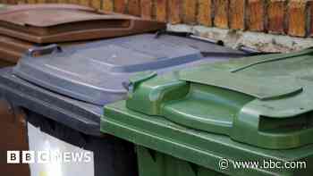 Rubbish increase blamed for bin collection delays