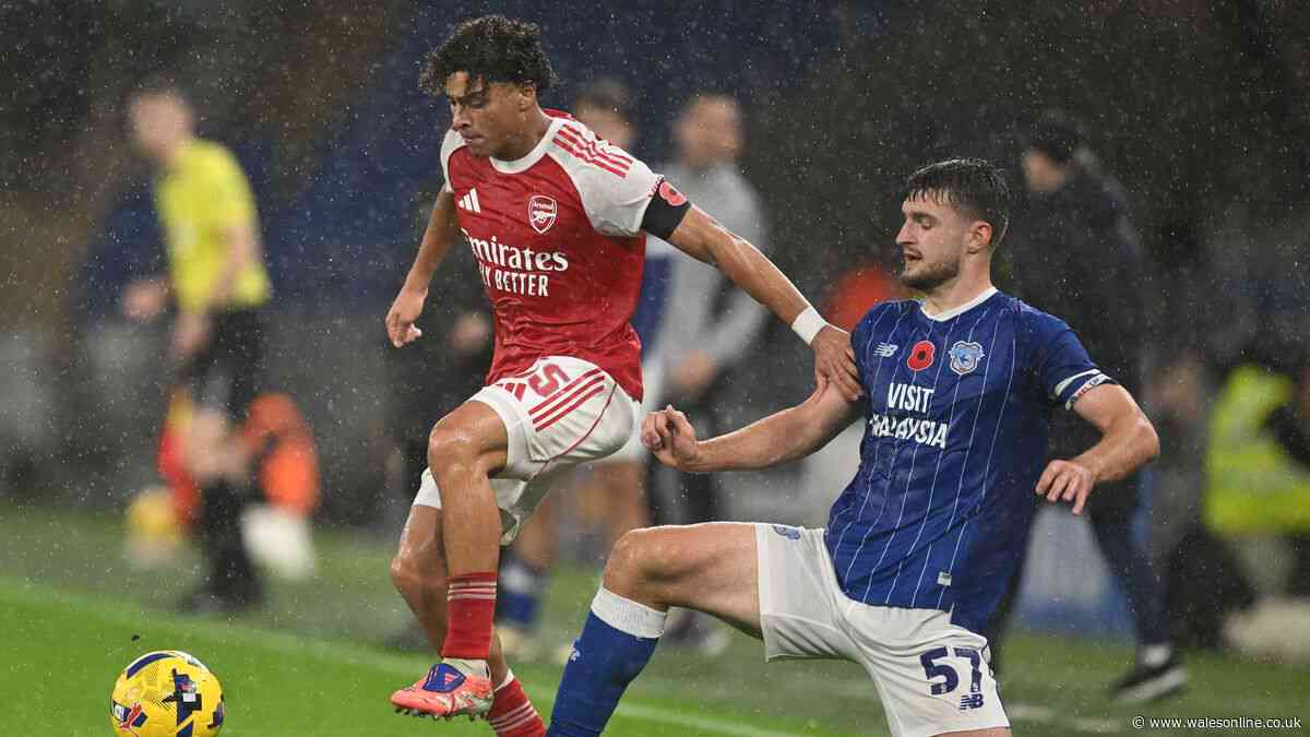 Cardiff City summer departure lands new club as ex-first team coach announces new job