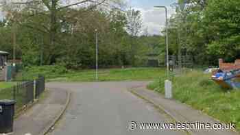 Police chased Cardiff teen on uninsured bike before discovering his darker secret