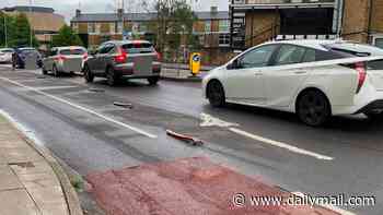 Cycle lane barriers 'are flattened by emergency vehicles' after installation caused huge traffic delays by narrowing busy road