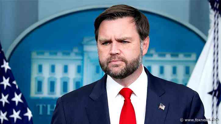 Vance admits infamous 'childless cat ladies' comment distracted from his message to Americans