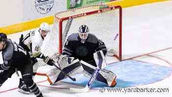 3 Goaltenders the Canadiens Could Target in the 2026 NHL Entry Draft