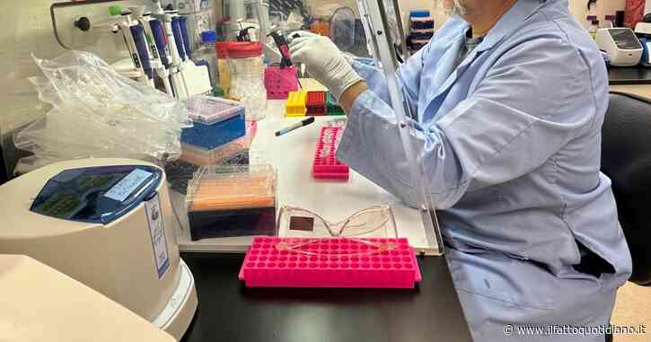 In Italia la burocrazia rallenta la ricerca: così i nostri concorrenti ci mangeranno vivi