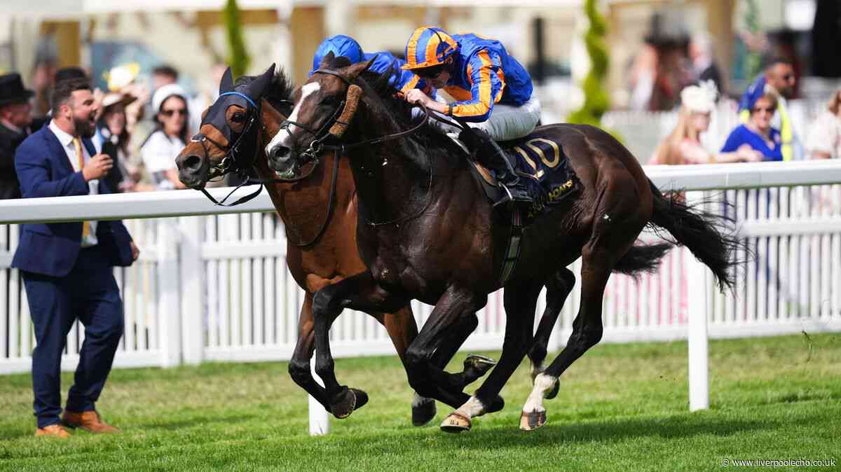 Royal Ascot 2026: Scandinavia strikes Gold for Aidan O'Brien's century
