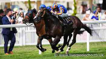Royal Ascot 2026: Scandinavia strikes Gold for Aidan O'Brien's century