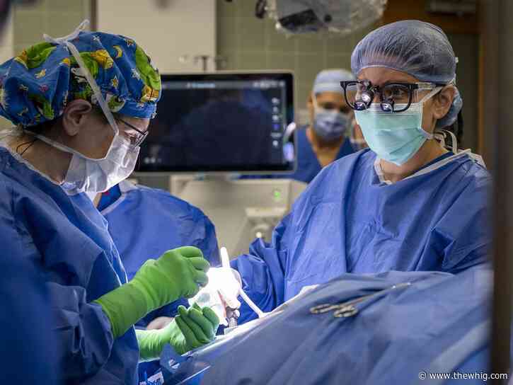 Kingston surgeons perform first-of-its-kind brain surgery in Canada