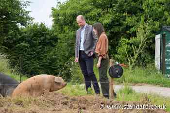 William encounters pig called Ginger Spice on farm visit in Devon