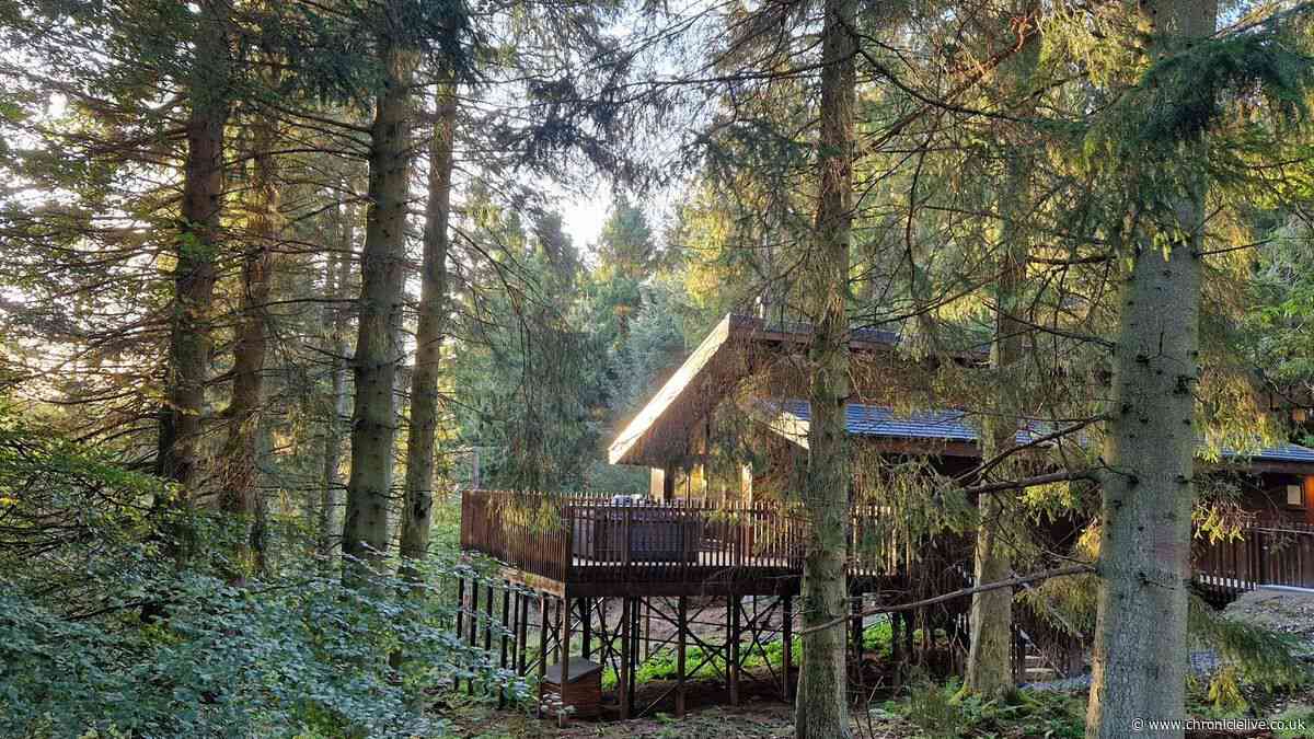UK's 'best hot tub holiday' is in a picturesque forest 2.5 hours from Newcastle
