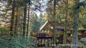 UK's 'best hot tub holiday' is in a picturesque forest 2.5 hours from Newcastle