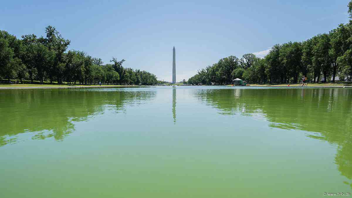 Scheitert Trumps Renovierung?: Schlimmer als vorher: Algen kommen mit voller Wucht in Reflecting Pool zurück