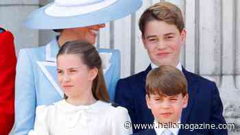 Prince George and his siblings' surprisingly normal hobby away from the public eye – but there's a recurring issue