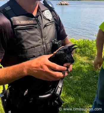 Catskill police rescue crow dangling above Hudson River