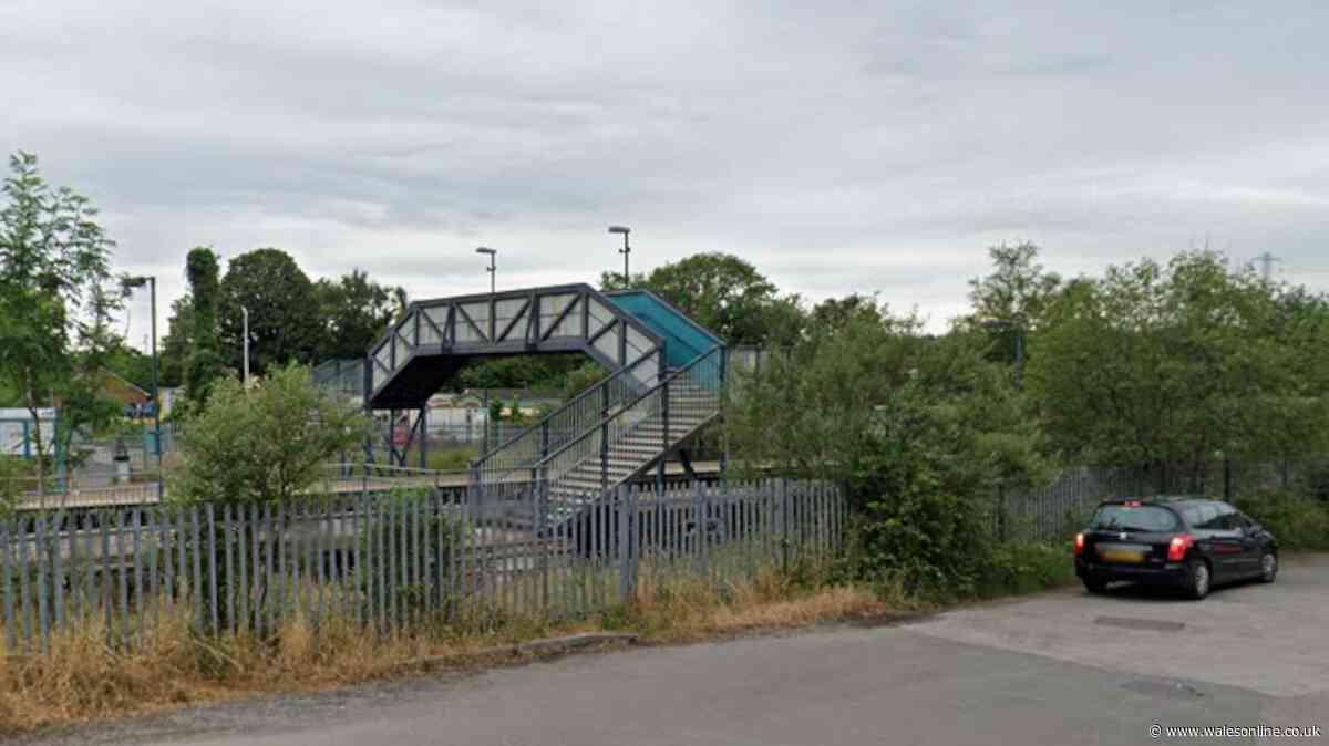 Telegraph pole falls on two women at Pontyclun railway station
