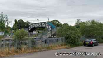 Telegraph pole falls on two women at Pontyclun railway station
