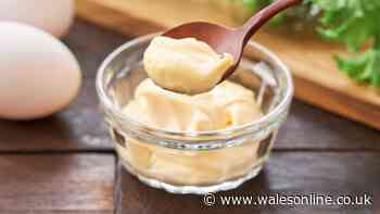 Salad cream and mayonnaise taste different and reason why has been explained