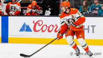 Ducks target 5-6 months for Terry (hip) return