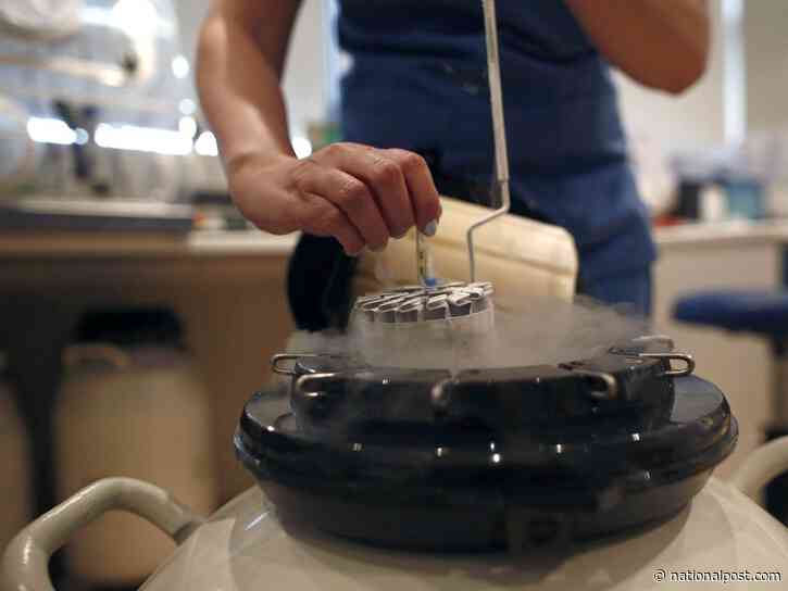 10/3 podcast: The Wild West of Canada's fertility industry