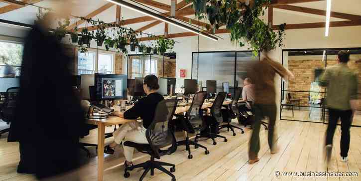 A company built a 'Michelin-star workspace' designed to reduce stress. It has indoor plants, massages, and a custom scent.