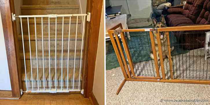 The best dog gates of 2026