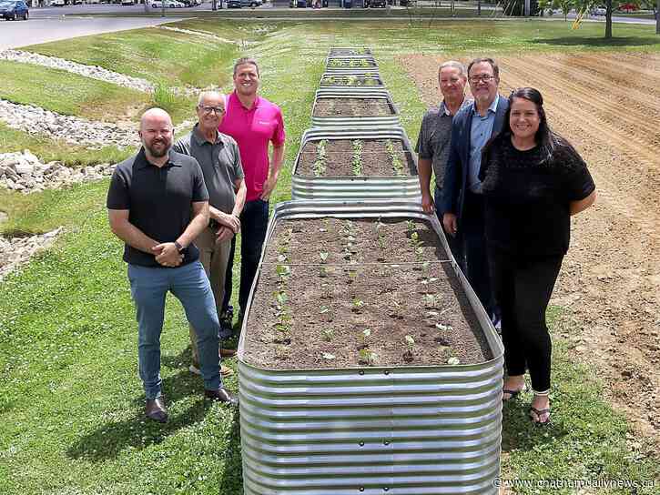 Hydro One fund boosts Habitat for Humanity’s community garden project