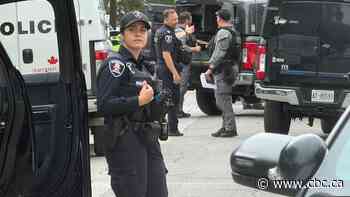Man allegedly armed with butcher knife in west Windsor is now in custody