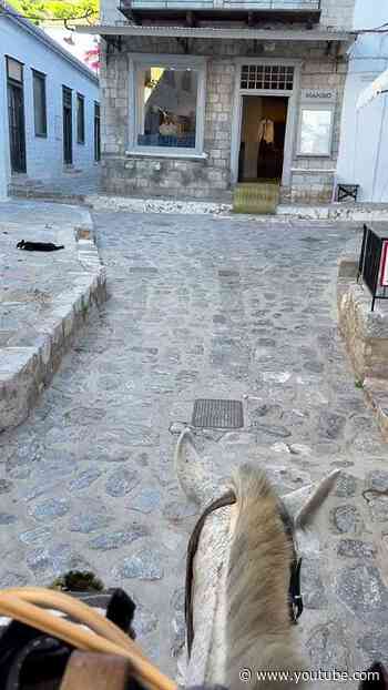 The beloved Hydra donkeys already know the way to our pop-up store. Welcome in! #MANGOSlowSummer