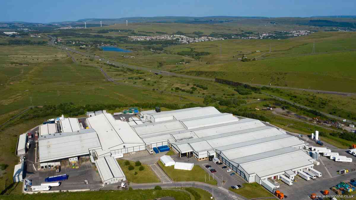 Jobs to go in major cuts at Merthyr meat plant