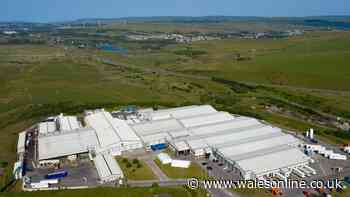 Jobs to go in major cuts at Merthyr meat plant