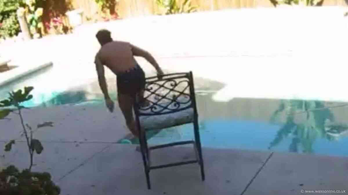 Dad's 'ninja-quick' reflexes save one-year-old daughter from drowning in pool
