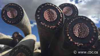 Police launch initiative to combat copper wire and scrap metal theft in Cambridge