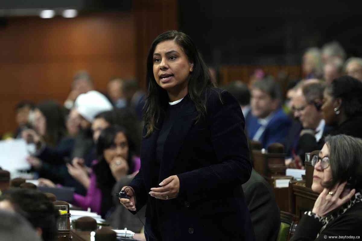 Secretary of state Sahota says 'foreign entity' hired people to shoot at synagogues