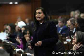 Secretary of state Sahota says 'foreign entity' hired people to shoot at synagogues