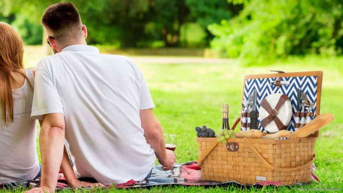 Debenham's 'stylish' picnic hamper drops to £30 ahead of UK heatwave