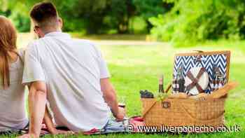 Debenham's 'stylish' picnic hamper drops to £30 ahead of UK heatwave