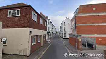 Police probe alleged rape of woman in seaside town centre in early hours attack