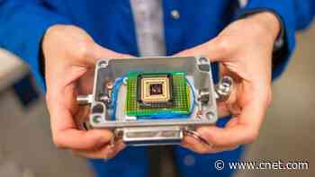 'Electronic Nose' Shows Promise for Detecting Food Allergens and Spoilage
