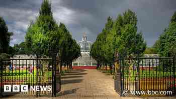 Council seek alternative uses for Queen's Park Glasshouse