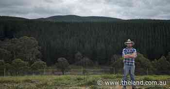 'I'd rather live next to a nuclear reactor': Portland landholder defies turbines future