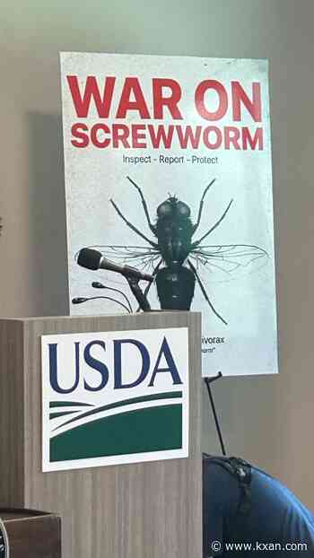 Texas universities receive USDA funding for screwworm detection, control research
